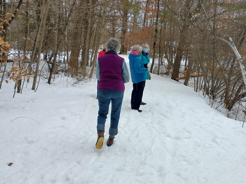 Group winter walking.