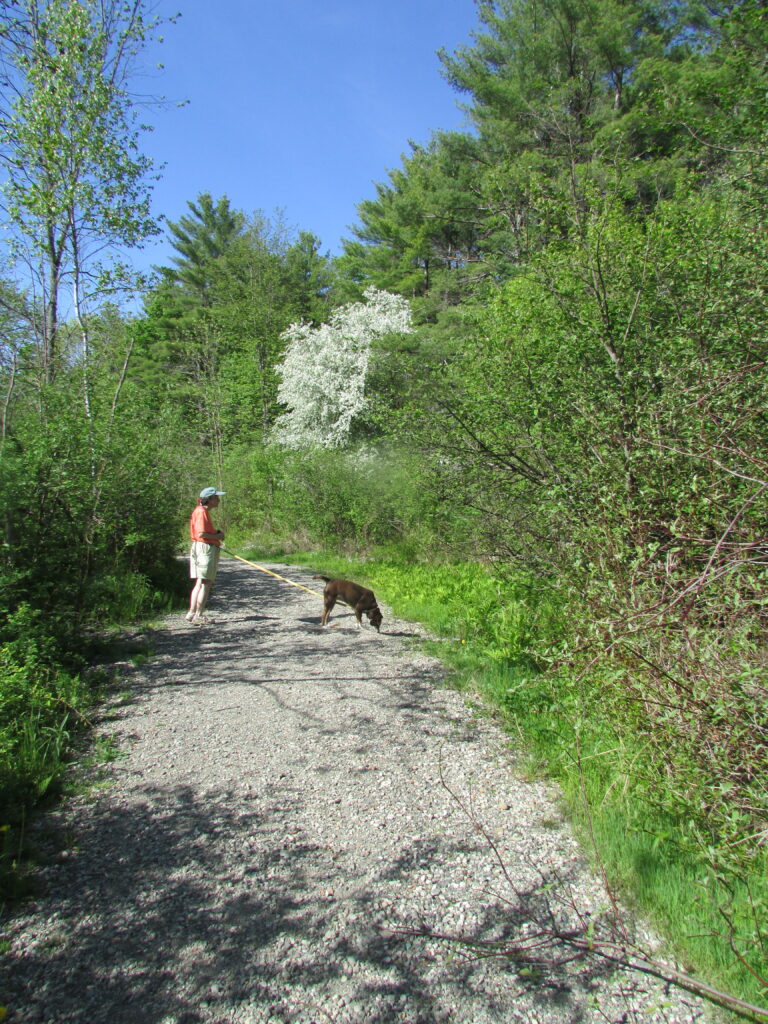 Dogs on leashes are welcome.